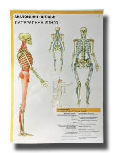 Комплект плакатів "Анатомічні поїзди" (з 7 частин)