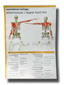 Комплект плакатів "Анатомічні поїзди" (з 7 частин)