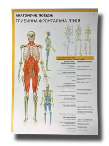 Комплект плакатів "Анатомічні поїзди" (з 7 частин)